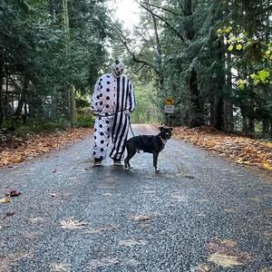 Meet your Posher, Dylan